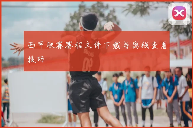 西甲联赛赛程文件下载与离线查看技巧